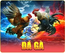 đá gà